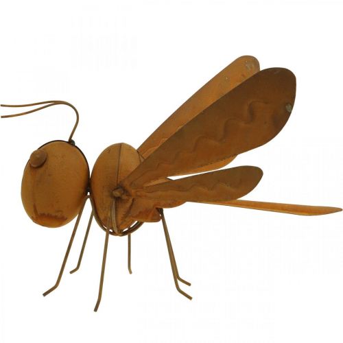 Floristik24 Libélula decorativa, decoración de cama, figura de jardín patinada L28cm H21cm