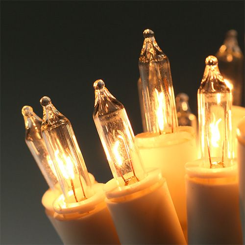 Floristik24 Luces de hadas mini 20s 3m para interior blanco / claro