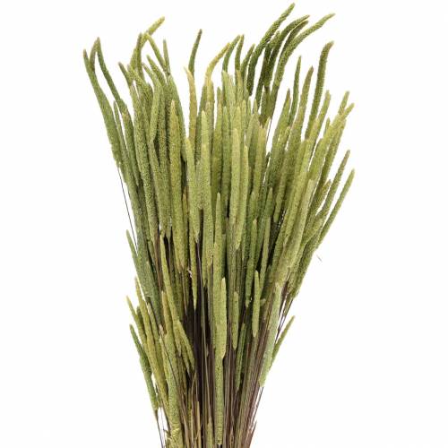 Hierba timotea natural 50-60cm 100g