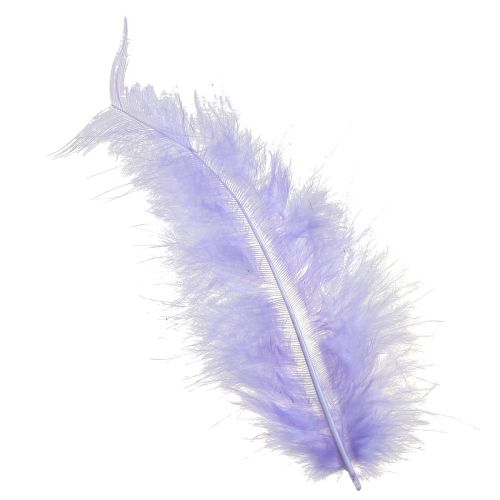 Floristik24 Plumas moradas Suministros para manualidades esponjosas Primavera 5-10 cm 20 g
