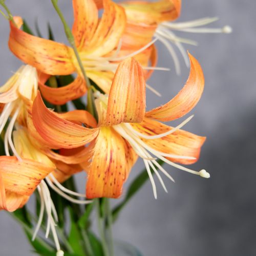 Artículo Lirios artificiales, decoración para bodas y eventos, 77cm, 4 piezas