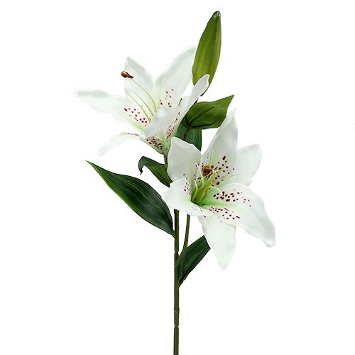 Floristik24 Lirio Blanco 66cm