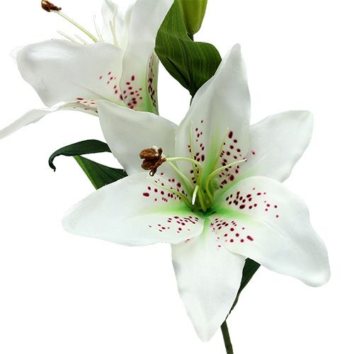 Floristik24 Lirio Blanco 66cm