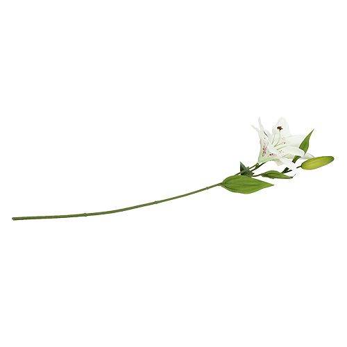 Floristik24 Lirio Blanco 66cm