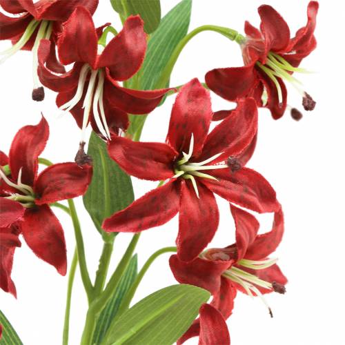 Floristik24 Lirio rojo 82cm