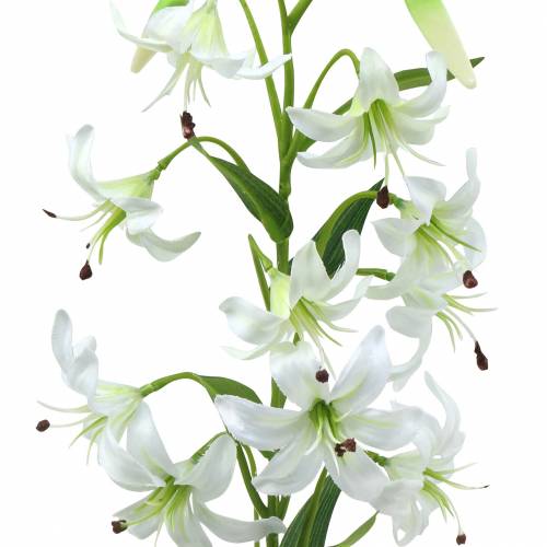 Artículo Lily White 82cm