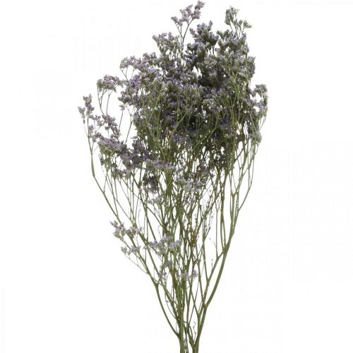 Floristik24 Flores Secas, Lavanda Marina, Statice Tatarica, Lavanda Marina, Violeta Limonium L45–50cm 30g