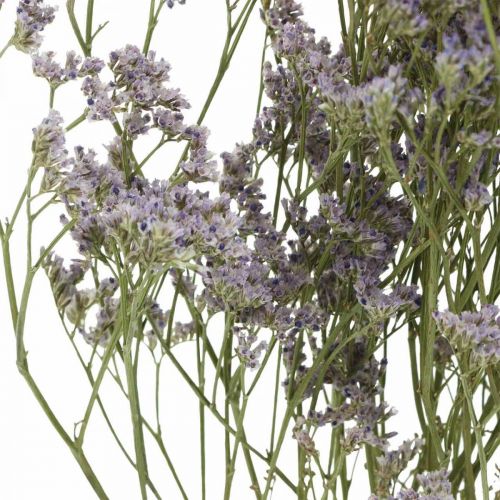 Floristik24 Flores Secas, Lavanda Marina, Statice Tatarica, Lavanda Marina, Violeta Limonium L45–50cm 30g