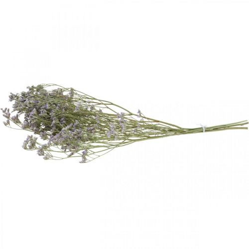 Floristik24 Flores Secas, Lavanda Marina, Statice Tatarica, Lavanda Marina, Violeta Limonium L45–50cm 30g