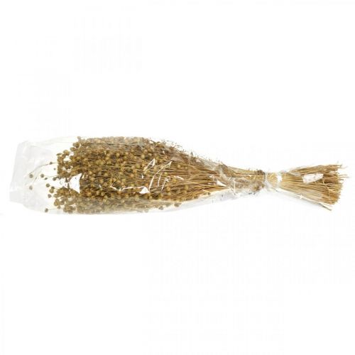 Floristik24 Lino natural, hierbas para floristería seca, Linum producto natural 160g