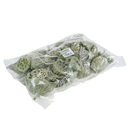 Artículo Frasco Lotus mix verde lavado Ø6cm - 10cm 50uds