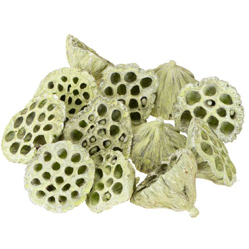 Artículo Frasco Lotus mix verde lavado Ø6cm - 10cm 50uds