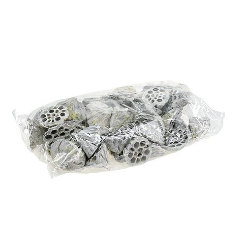 Artículo Lotus Natural Deco Bombilla Loto Blanco Lavado 6-8cm 50uds