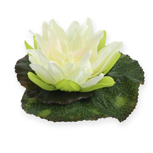 Floristik24 Flor de loto flotante 18cm blanco 3uds