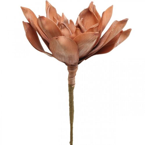 Floristik24.es Flor de Loto Planta Artificial Flor de Loto Artificial  Marrón L64cm - comprar barato en línea