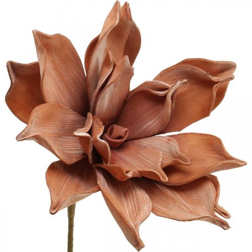 Floristik24 Flor de Loto Planta Artificial Flor de Loto Artificial Marrón L64cm