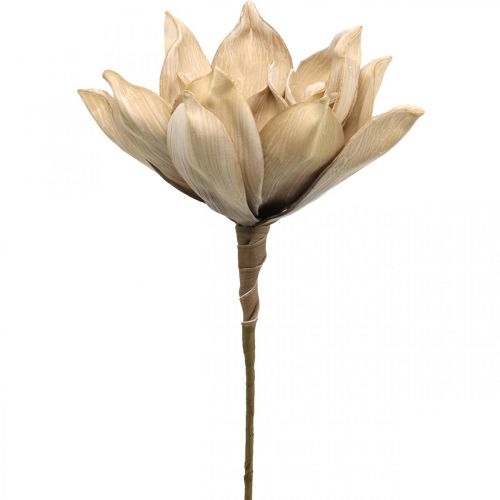 Flor de loto, decoración flor de loto, planta artificial beige L66cm