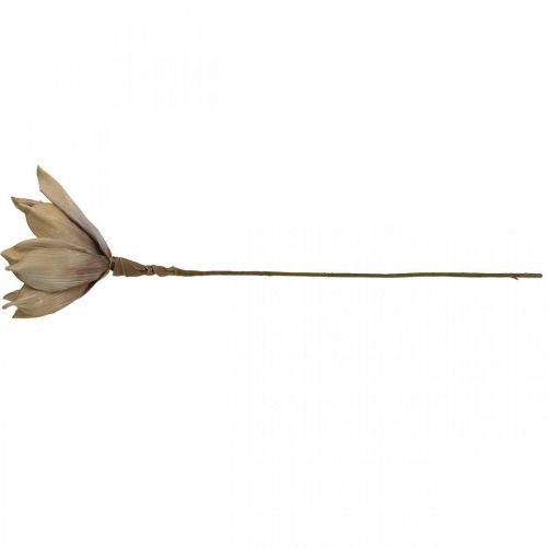Floristik24 Flor de loto, decoración flor de loto, planta artificial beige L66cm
