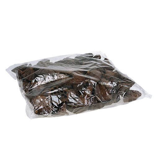 Artículo Frasco Lotus grande 100 piezas natural