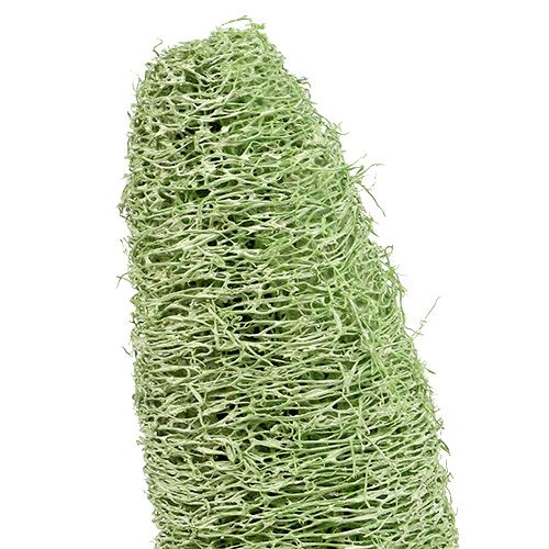 Artículo Luffa grande en palo verde 25 piezas