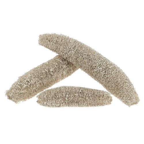 Artículo Luffa grande blanqueada 20uds