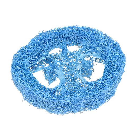 Floristik24 Luffa rebanadas azul cielo 25 piezas