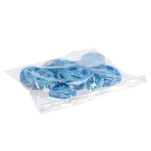 Floristik24 Discos de lufa azul cielo 25uds