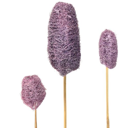 Luffa en tallo, pequeña baya seca decorativa, 5-12 cm, 25 unidades