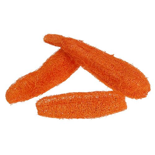 Floristik24 Loofah naranja grande 20uds