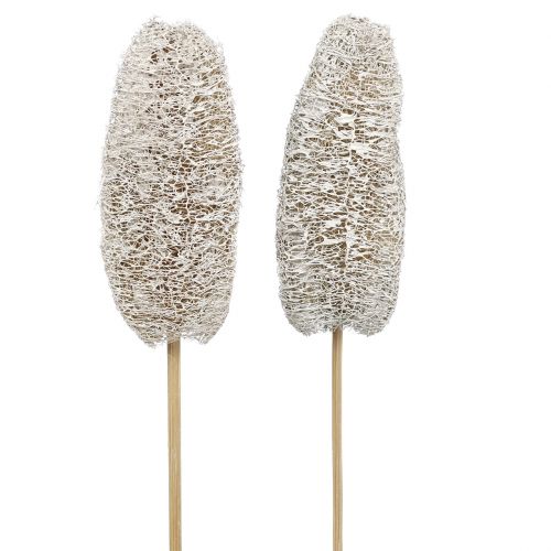 Artículo Luffa pequeña en palo blanqueada 25 piezas