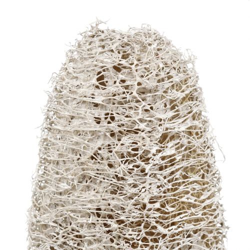 Artículo Luffa pequeña en palo blanqueada 25 piezas