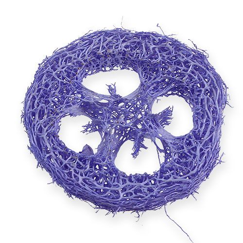 Floristik24 Discos Luffa violeta claro 25uds