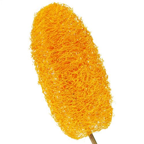 Artículo Esponja pequeña con palo, amarillo dorado, 25 piezas