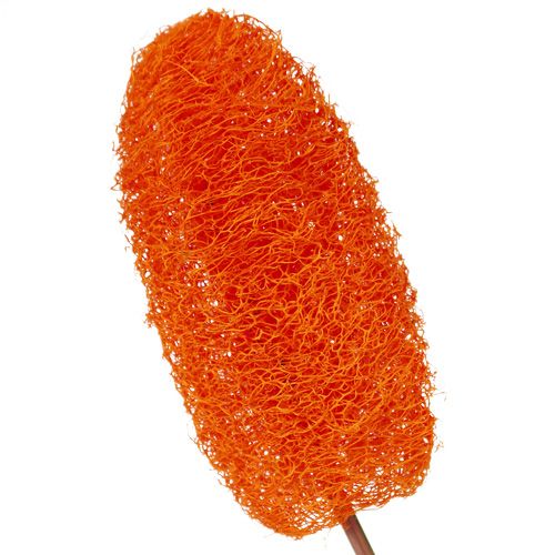 Artículo Luffa pequeña en palo naranja 25 piezas