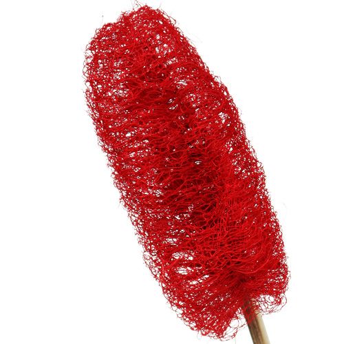 Artículo Luffa pequeña en palo rojo 25 piezas