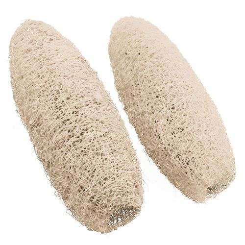 Floristik24 Luffa grande blanqueada 20 piezas
