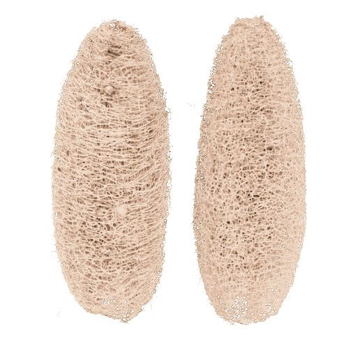 Artículo Luffa grande blanqueada 20 piezas