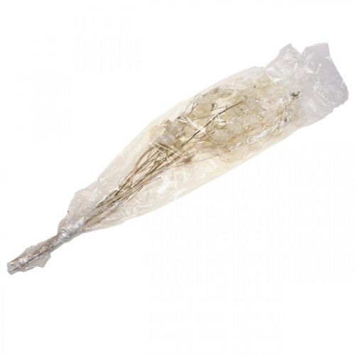 Artículo Lunaria flores secas luna violeta hoja de plata seca 60-80cm 30g
