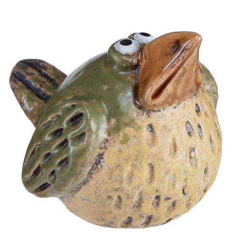 Floristik24 Divertido pájaro decoración cerámica verde primavera 9×7,5×6,5cm 3uds