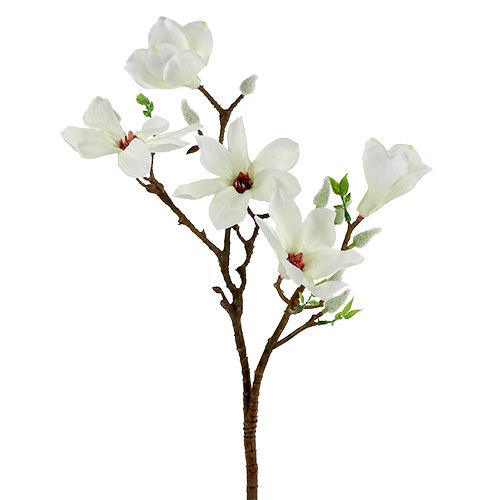 Floristik24 Magnolia blanca 51cm 3 piezas