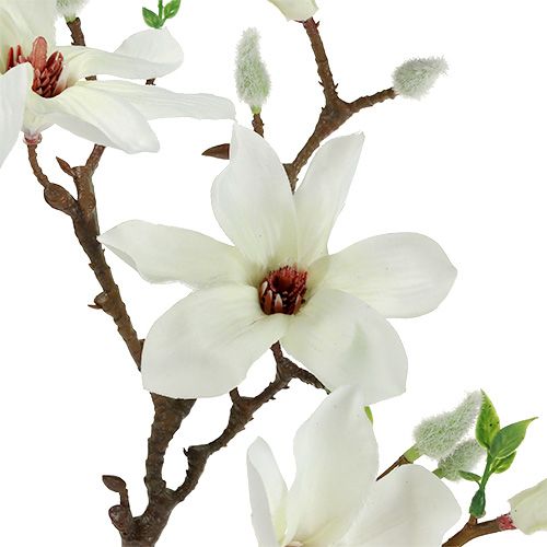Floristik24 Magnolia blanca 51cm 3 piezas