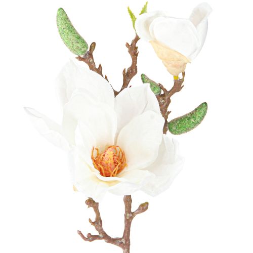 Artículo Capullos de flores artificiales de magnolia blanca, decoración de ramas, altura 40 cm, 2 unidades