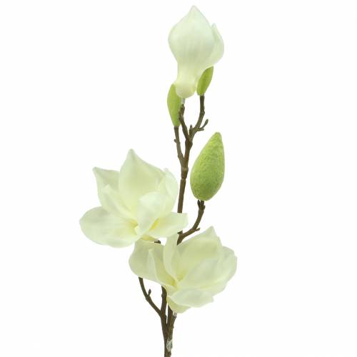 Floristik24 Magnolia Real Touch Blanco 70cm