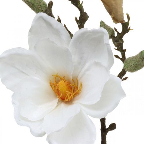 Artículo Flor artificial blanca de magnolia con capullos en una rama decorativa Al. 40 cm