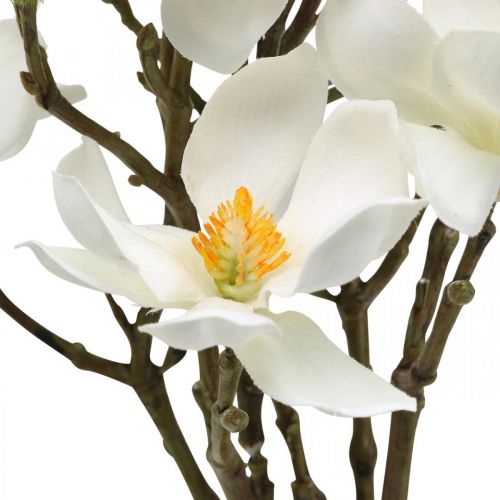 Floristik24 Ramas de magnolia artificial rama decorativa blanca H40cm 4 piezas en ramo