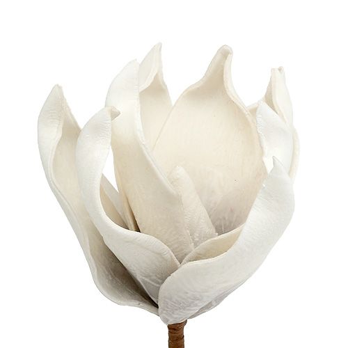 Floristik24 Flor de magnolia de espuma gris, blanco Ø10cm L26cm 4pcs