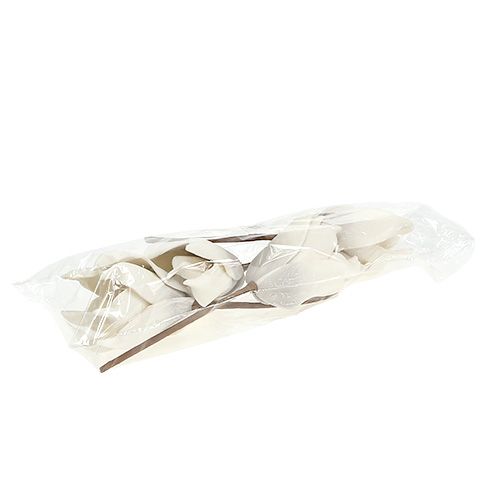 Floristik24 Flor de magnolia de espuma gris, blanco Ø10cm L26cm 4pcs