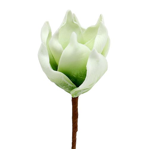 Floristik24 Flor de magnolia de espuma blanco-verde Ø10cm L26cm 4pcs