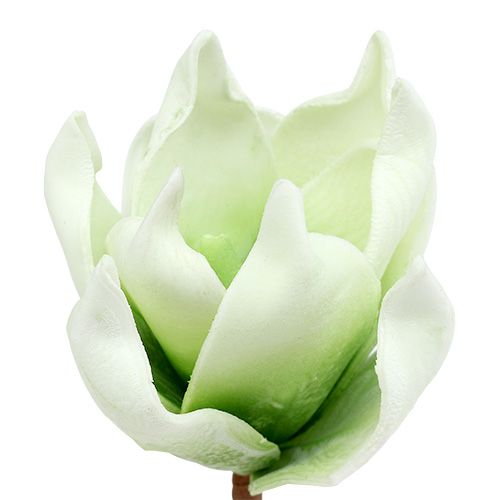 Floristik24 Flor de magnolia de espuma blanco-verde Ø10cm L26cm 4pcs