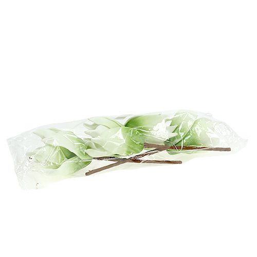 Floristik24 Flor de magnolia de espuma blanco-verde Ø10cm L26cm 4pcs